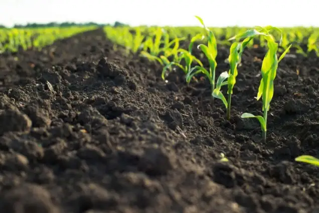 Precision farming
