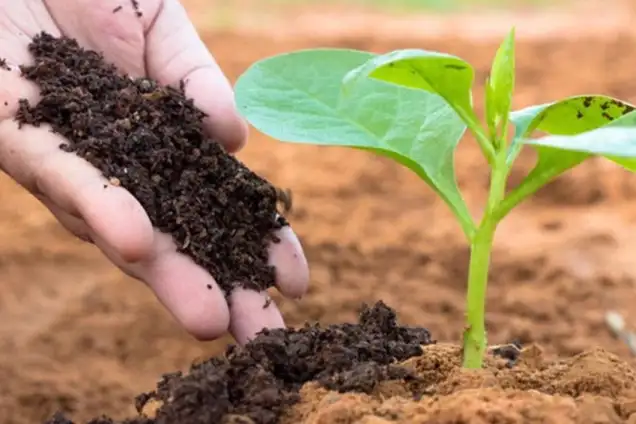 Environmental benefits