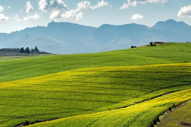 Environmental benefits